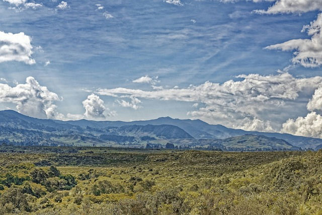 Tanzânia - foto 4