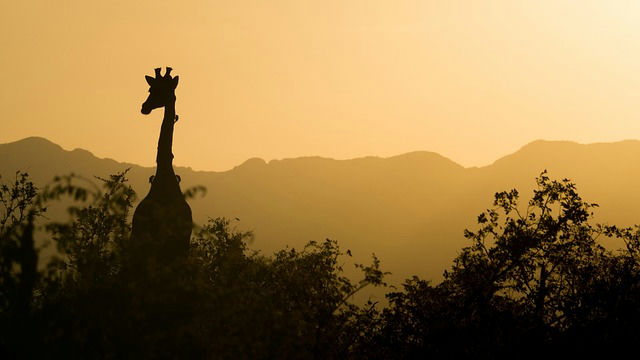 África do Sul - foto 3