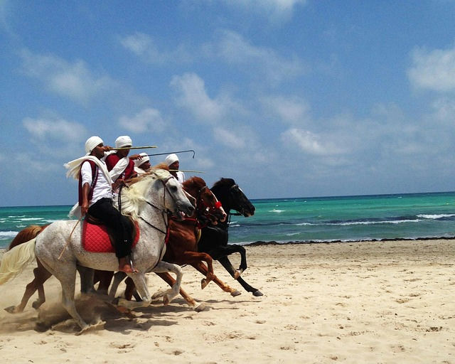 Sousse - paisagem turística