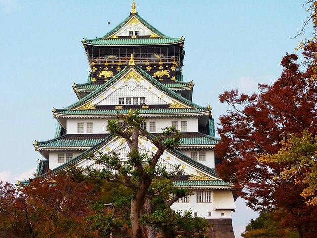 Torre principal do Castelo de Osaka cercada por árvores com folhagem outonal em Osaka, Japão.