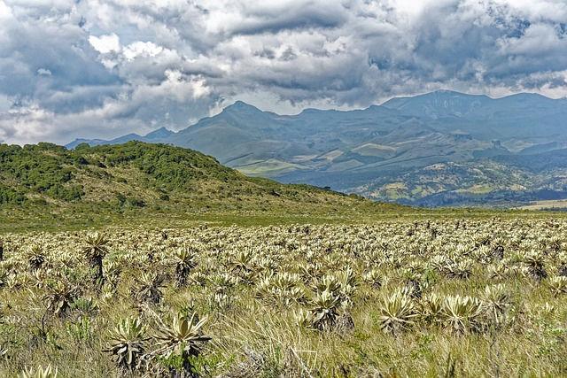 Parque Nacional Do Serengeti - paisagem turística