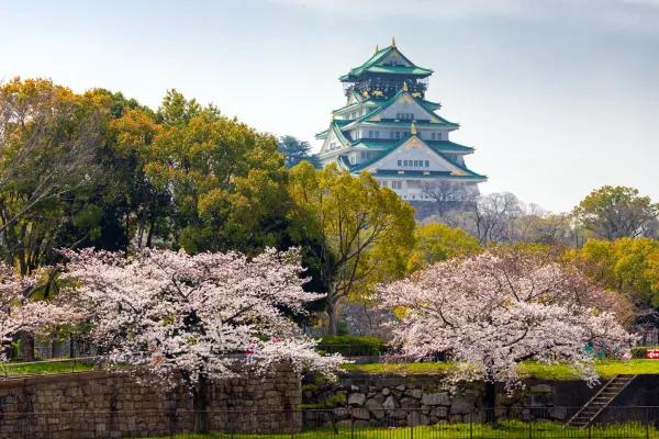 Imponente Castelo de Osaka cercado por parques e cerejeiras em flor