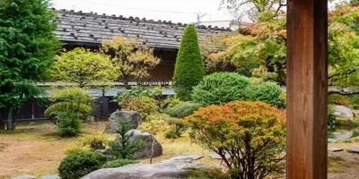 Jardim tradicional japonês e arquitetura de madeira em Takayama, Japão.
