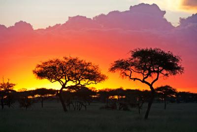 Pacote SkySafari na Tanzânia