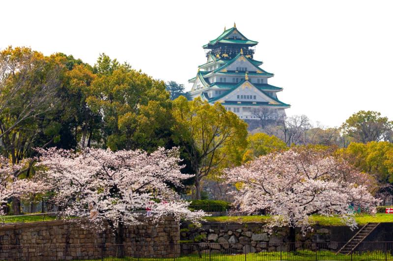 Torre principal do histórico Castelo de Osaka cercada por jardins e árvores de sakura no Japão.